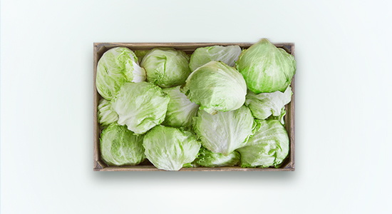 Irresistibly tasty lettuce!